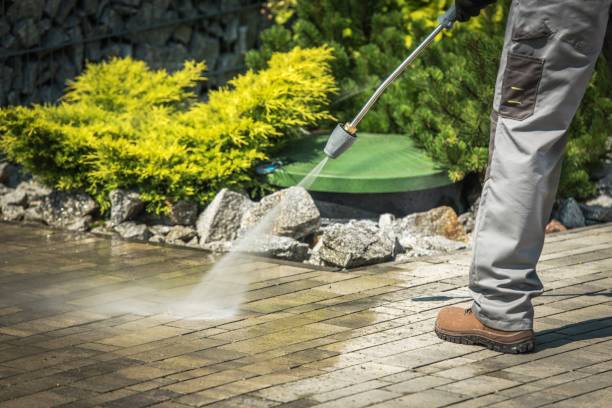 Best Building Exterior Washing  in Minersville, PA