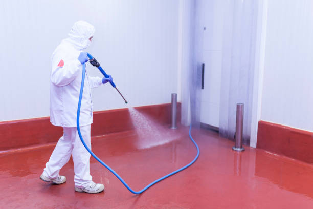 Best Sidewalk and Walkway Cleaning  in Minersville, PA