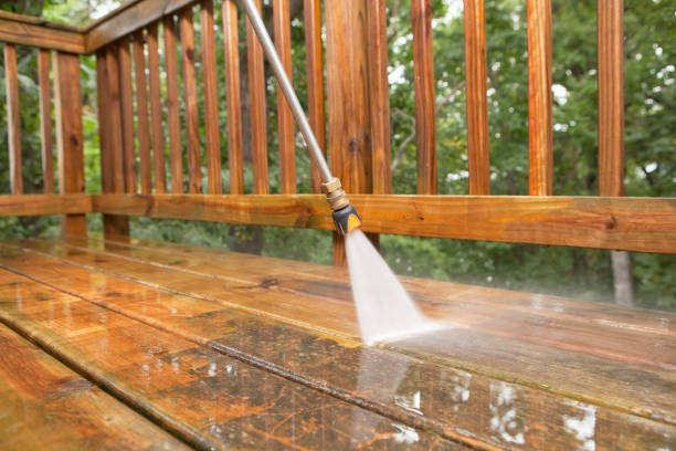 Best Rust Removal  in Minersville, PA